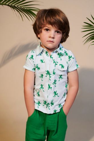 Jeff Shirt Frogs