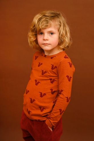 Fabric Printed Cotton Jersey Squirrels