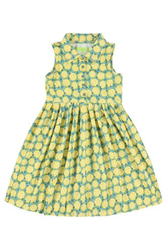 Ellis Jurk Lemon Slices