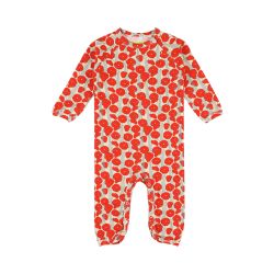 Gerard Kruippakje Poppies