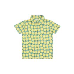 Jeff Hemd Lemon Slices