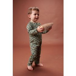 Kruippakje Gerard Rupsen