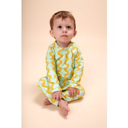 Kruippakje Gerard Shells