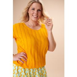 Topje Dalida Saffraangeel