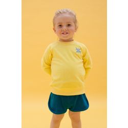 Jesse Sweater Lemon Drop