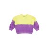 Ray Sweater Hyacinth Violet
